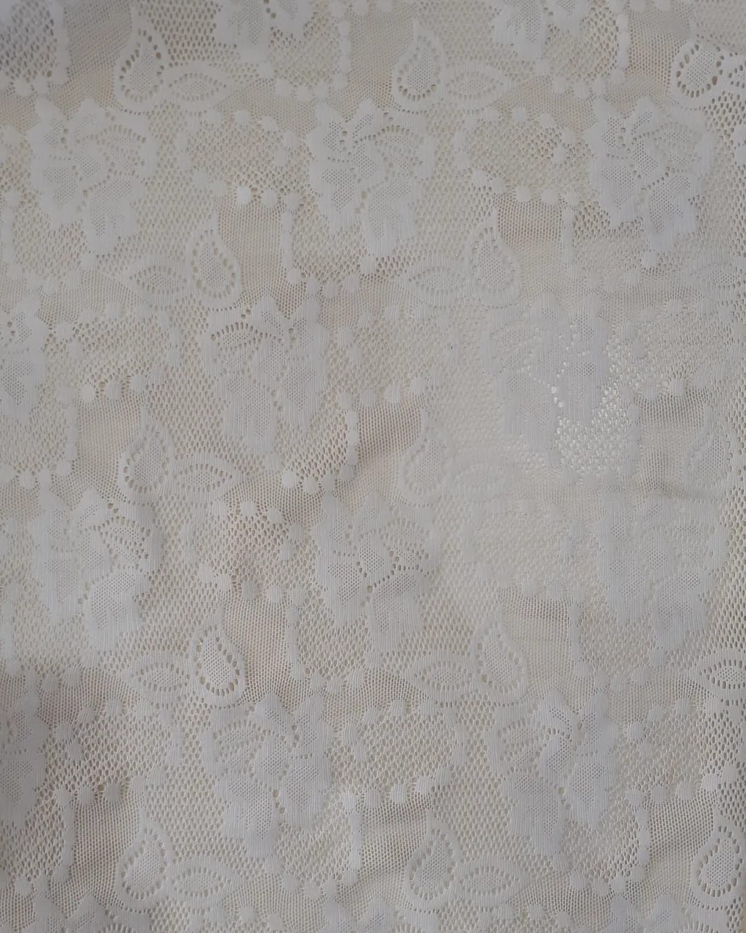 Brukat Stefany D#HDS 652 P