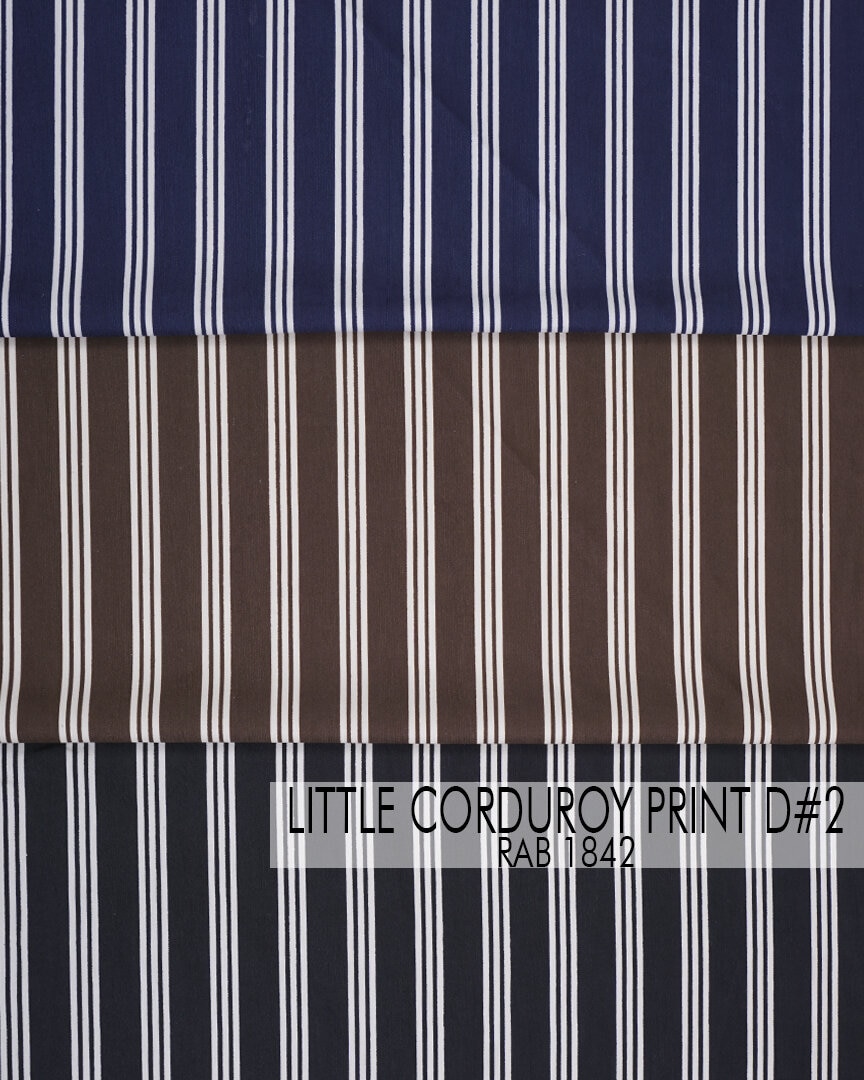 Little Corduroy Print D#2