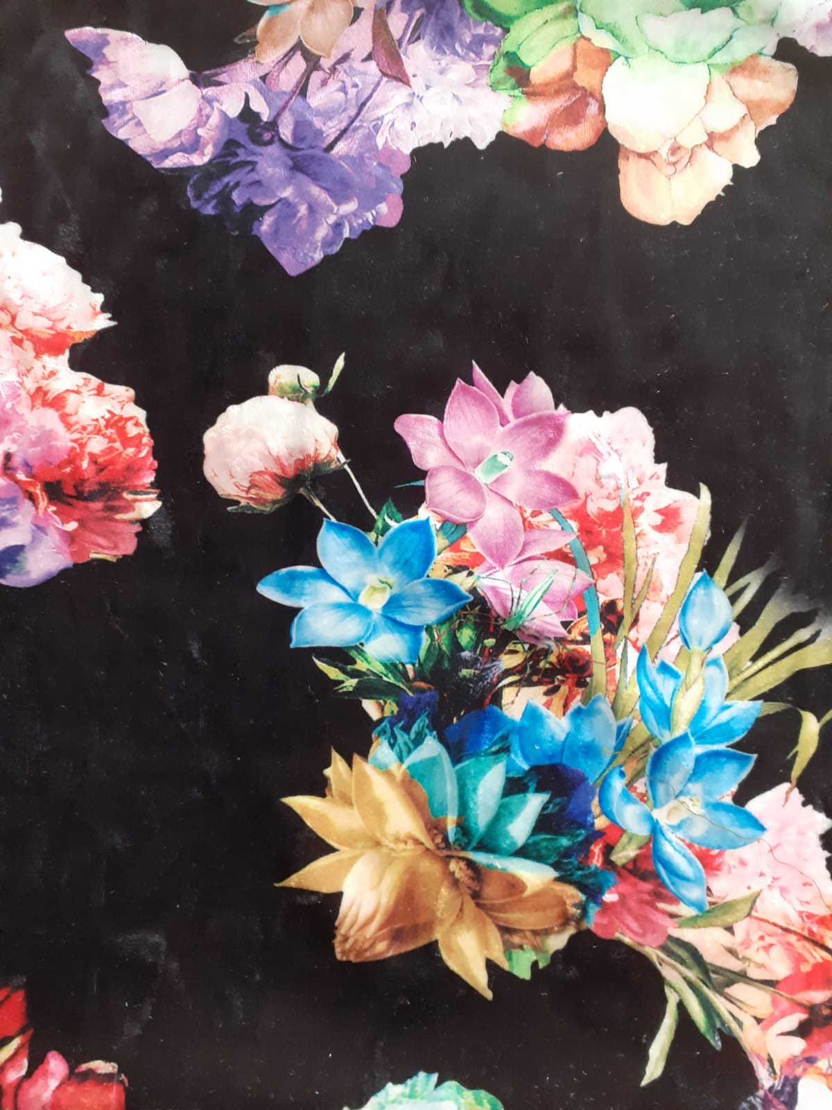 Titania Vancy Print D#3